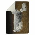 Begin Home Decor 60 x 80 in. Sheep & Lambs-Sherpa Fleece Blanket 5545-6080-AN509